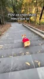 gère