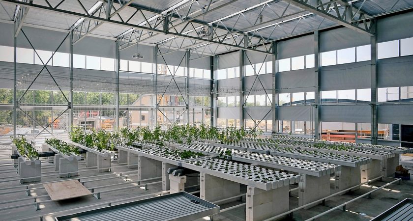 bettembourg luxembourg