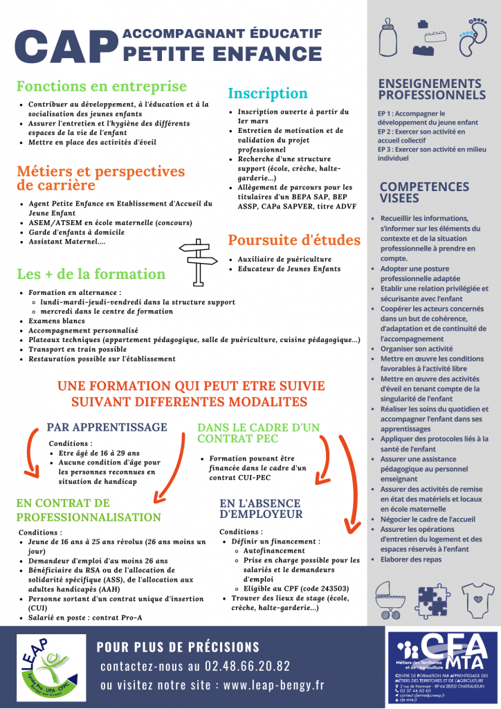 candidat libre cap petite enfance