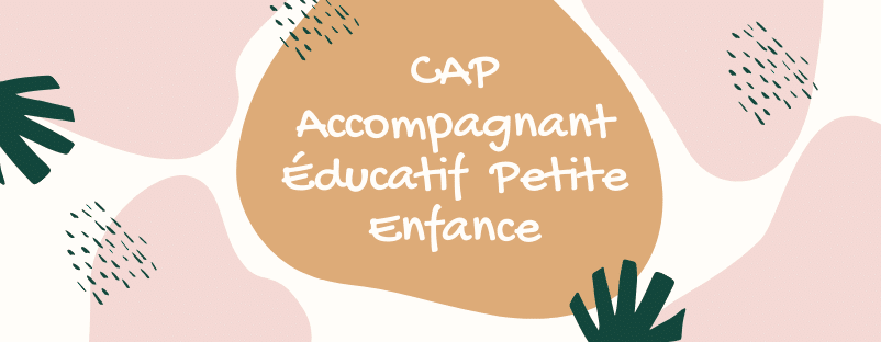 cap petite enfance lycée public