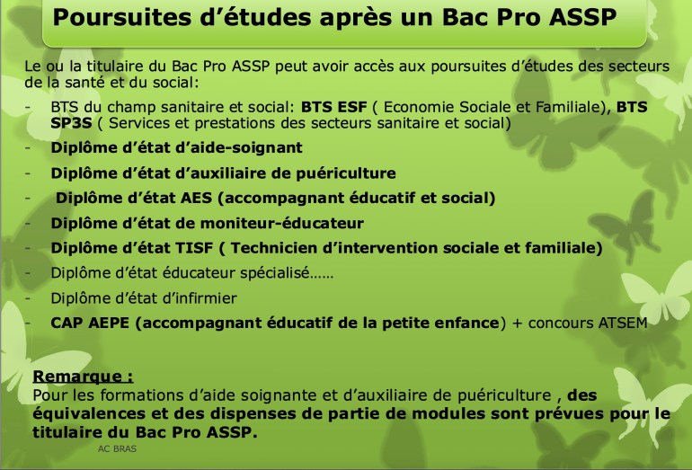 lycee bac pro assp